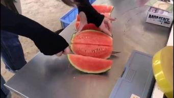 娱乐吃瓜群众集合视频,吃瓜群众视角下的精彩瞬间 第3张 娱乐吃瓜群众集合视频,吃瓜群众视角下的精彩瞬间 第3张