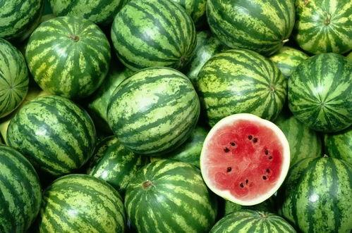 吃瓜娱乐间的作品有哪些,盘点热门作品的精彩瞬间 第3张 吃瓜娱乐间的作品有哪些,盘点热门作品的精彩瞬间 第3张