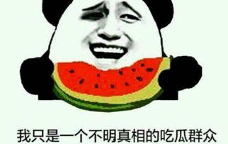 吃瓜群众含义 第3张 吃瓜群众含义 第3张