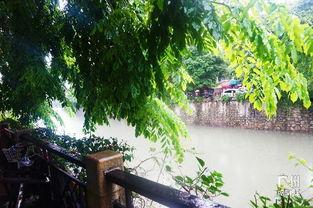 吃瓜娱乐间江南,吃瓜娱乐间里的时尚潮流风向标  第2张