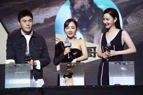 娱乐圈近期吃瓜合集,近期热点事件大盘点